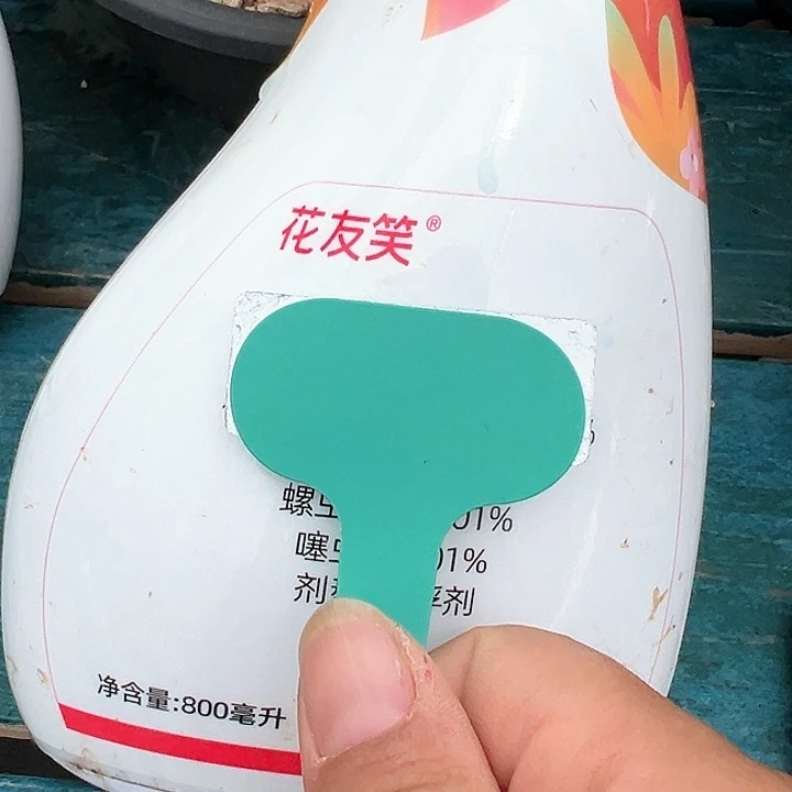 花友笑精品多肉编号0825-