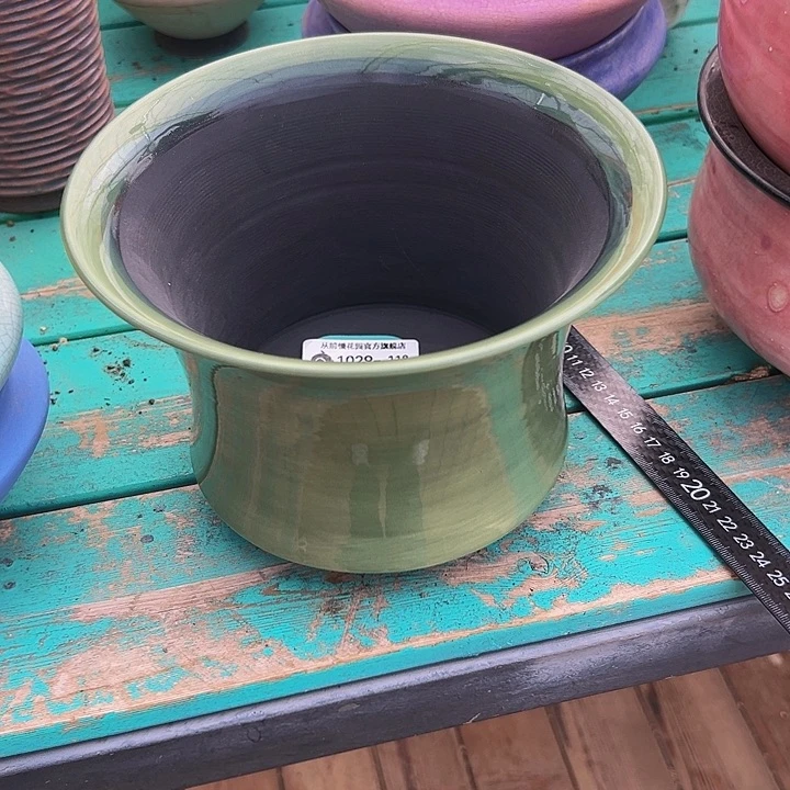 多***多多肉编号1029-118