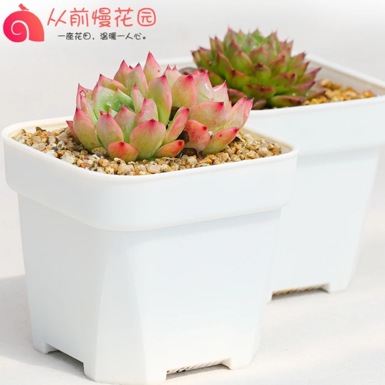 多肉花盆正方形白色加厚塑料包邮透气简约方盆多肉植物