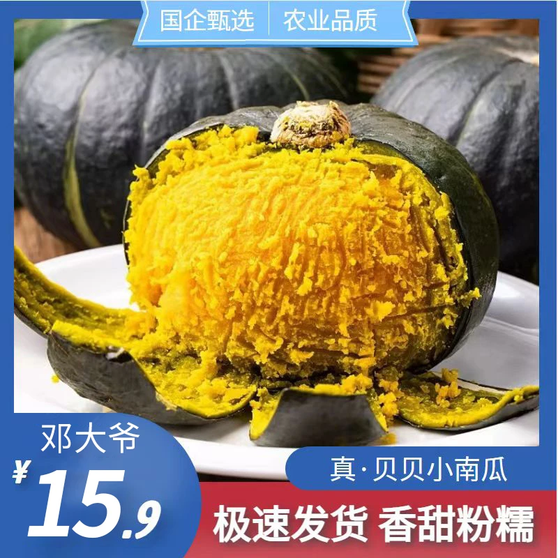 （坏瓜包赔）新鲜采摘沙地贝贝南瓜粉糯香甜4.5-5斤不粉包赔4-7个