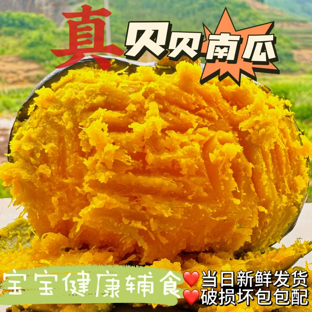 Z新鲜采摘沙地贝贝南瓜粉糯大果水瓜不粉包赔 多仓发货
