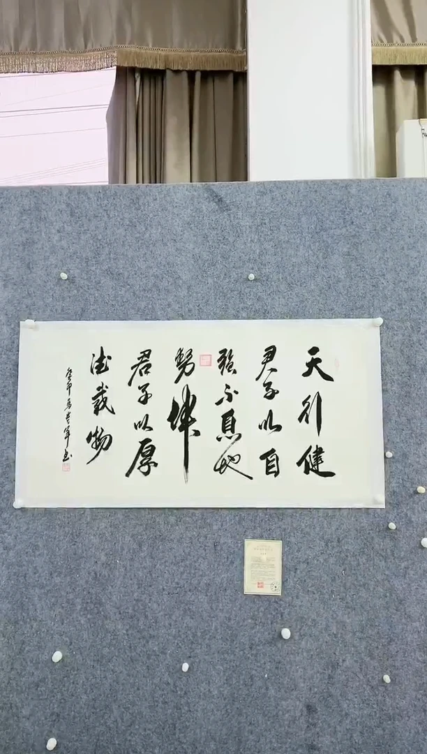 【闪购商品】书法马贵军《天行健》八平尺