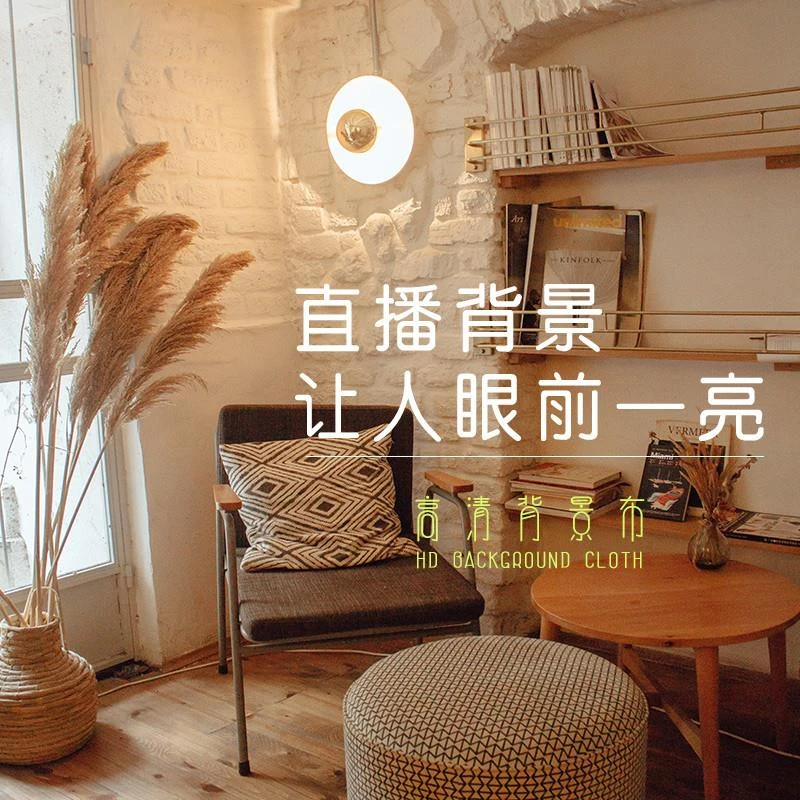 2024新款直播背景布装饰3立体网红主播背景墙室内摄影简约温馨