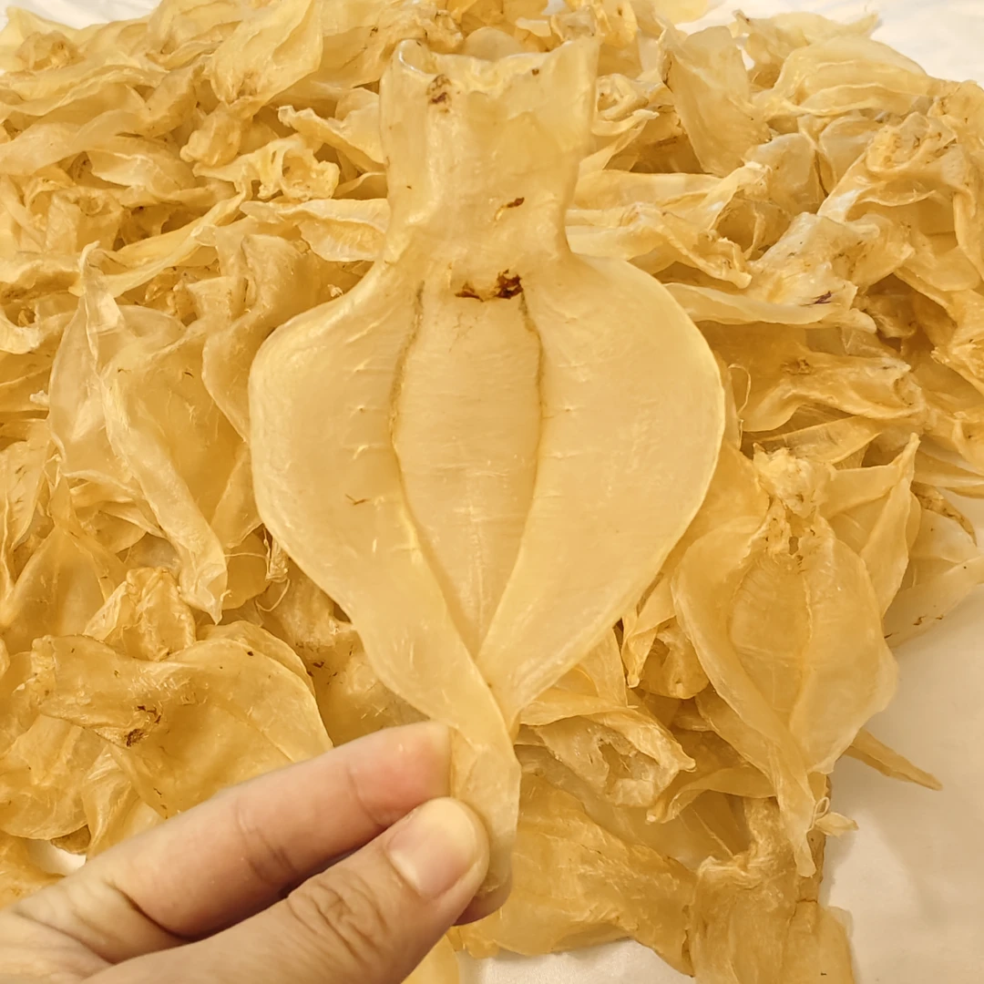 43头 本港白花胶 仙女白 本白 溪袄 红袄 贵妇胶 爽口Q弹 食用