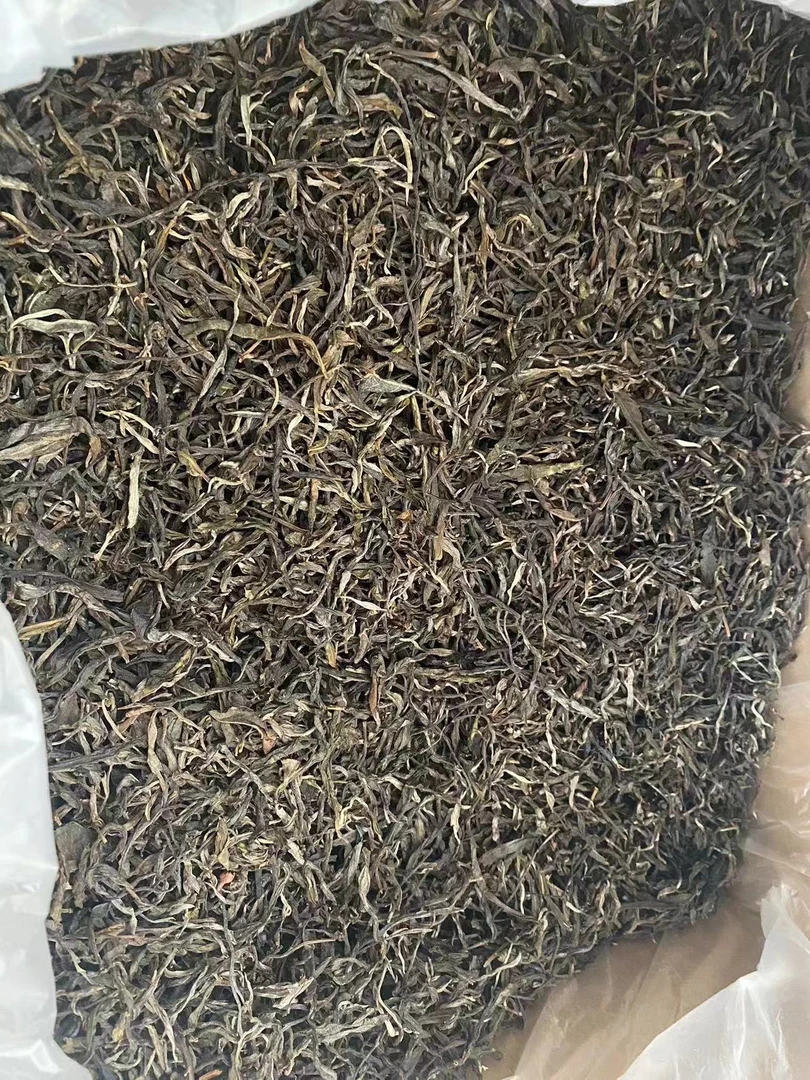 2025懂过大树春茶