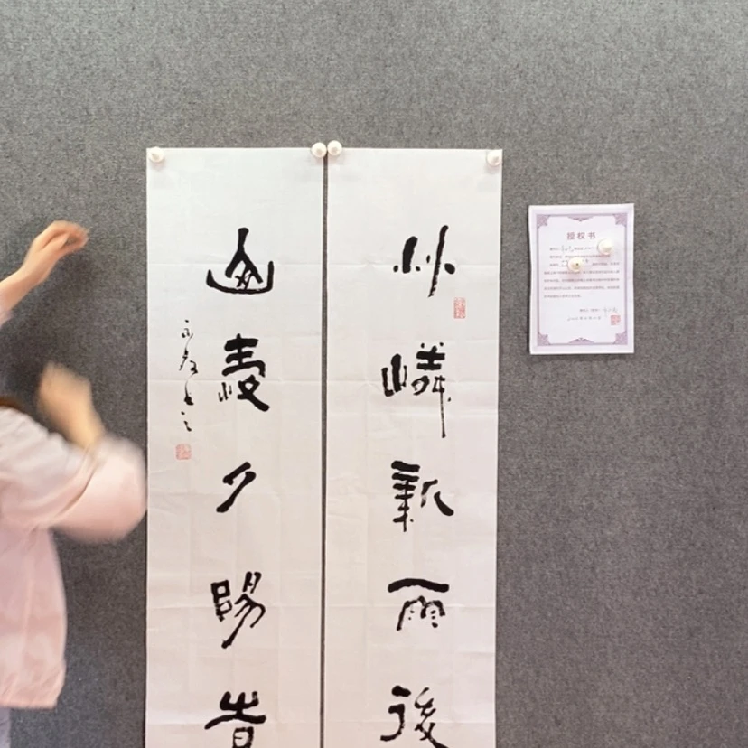 【闪购商品】书法书法作品欣赏，书法