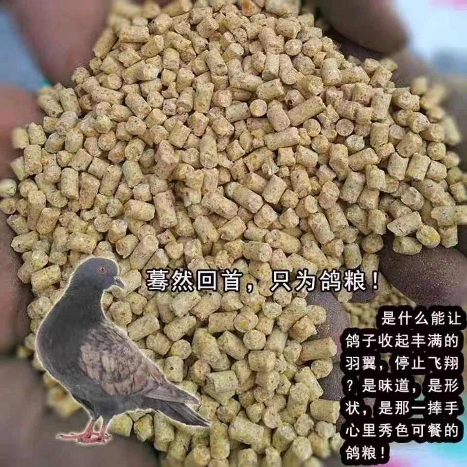 鸽粮高蛋白全营养颗粒饲料斑鸠鸽子孔雀粮食保健砂肉鸽赛信鸽子粮