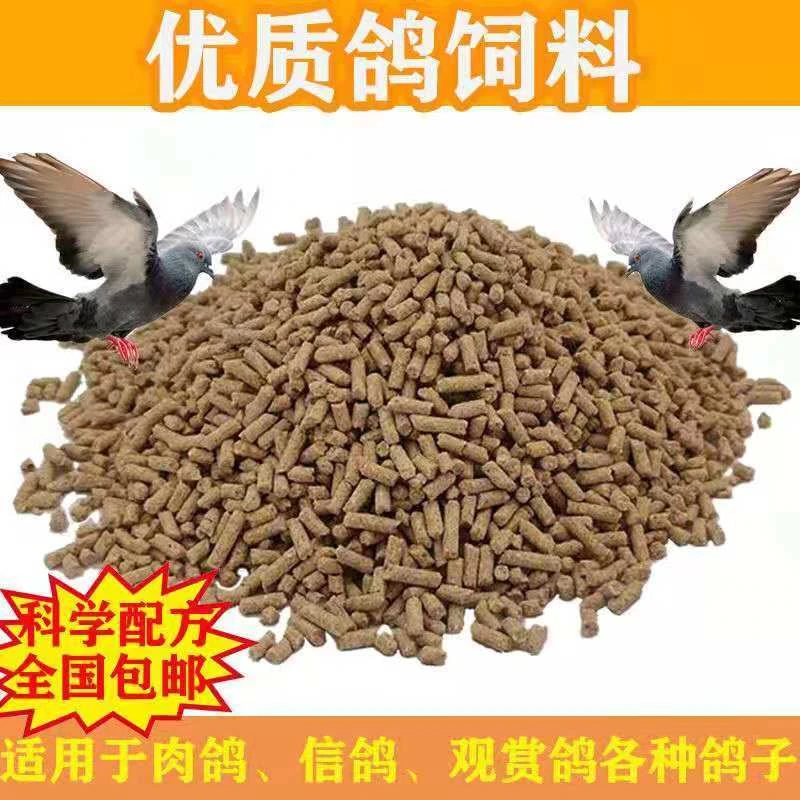 鸽粮鸽子颗粒饲料肉鸽信鸽观赏鸽赛鸽鸟食 高蛋白全营养饲料