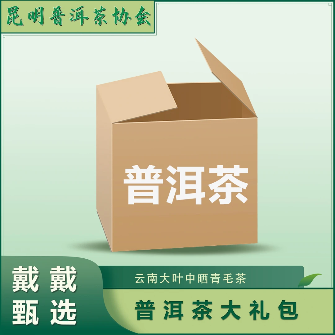 【戴戴甄选】戴会长大礼包   普洱茶  生茶