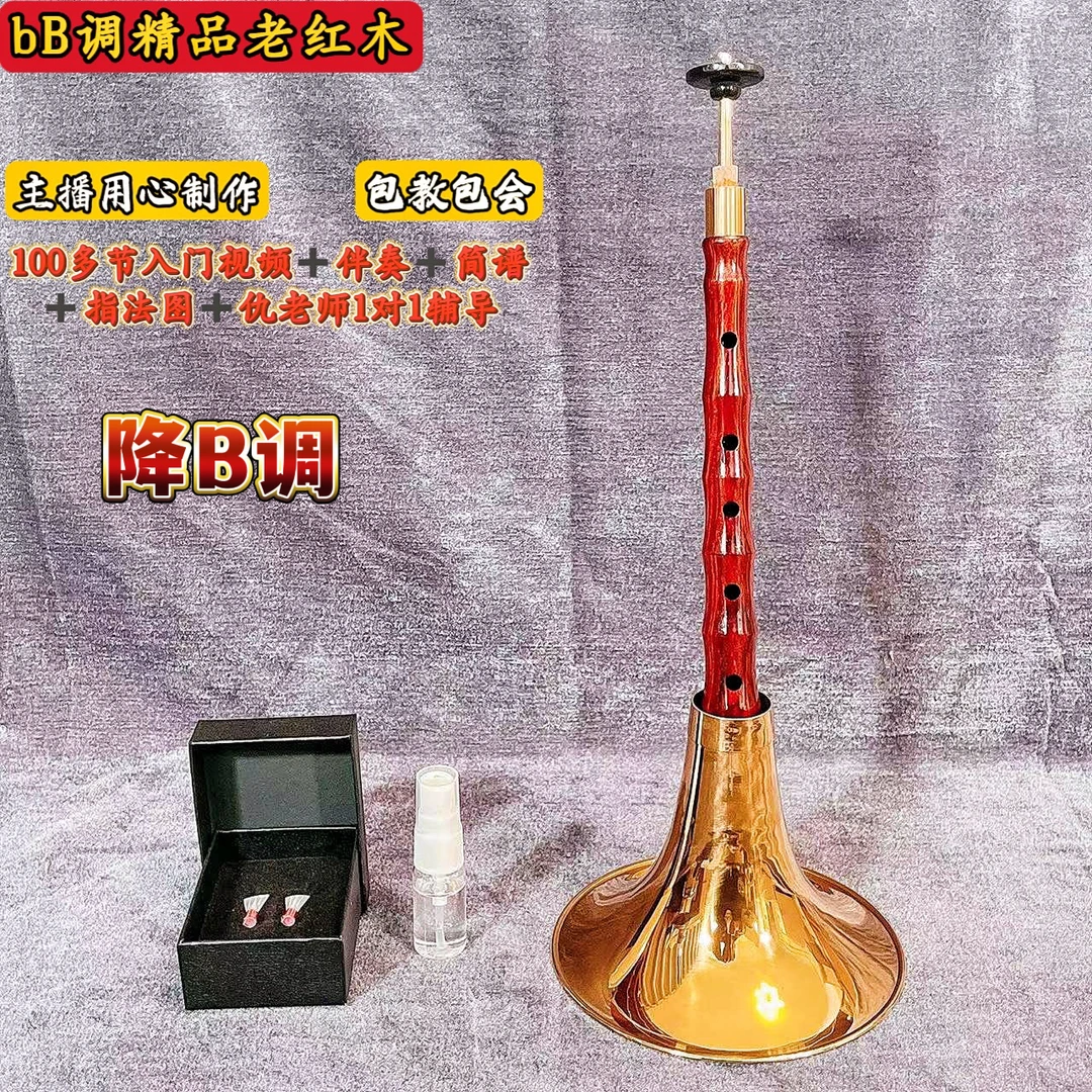 降B调正品精品老红木唢呐全套配件，红白喜事通用包教学初学乐器