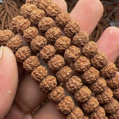 金刚菩提手串莽**屁好评