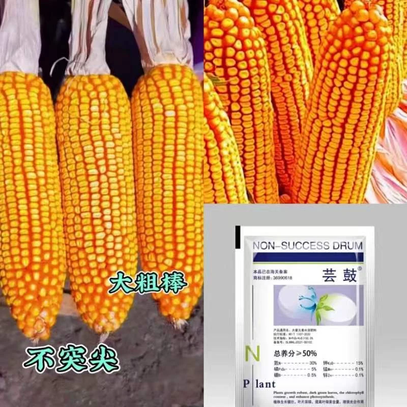 H奥德丰--高产大棒王-（一袋5500粒）-买十袋赠送一袋-------------