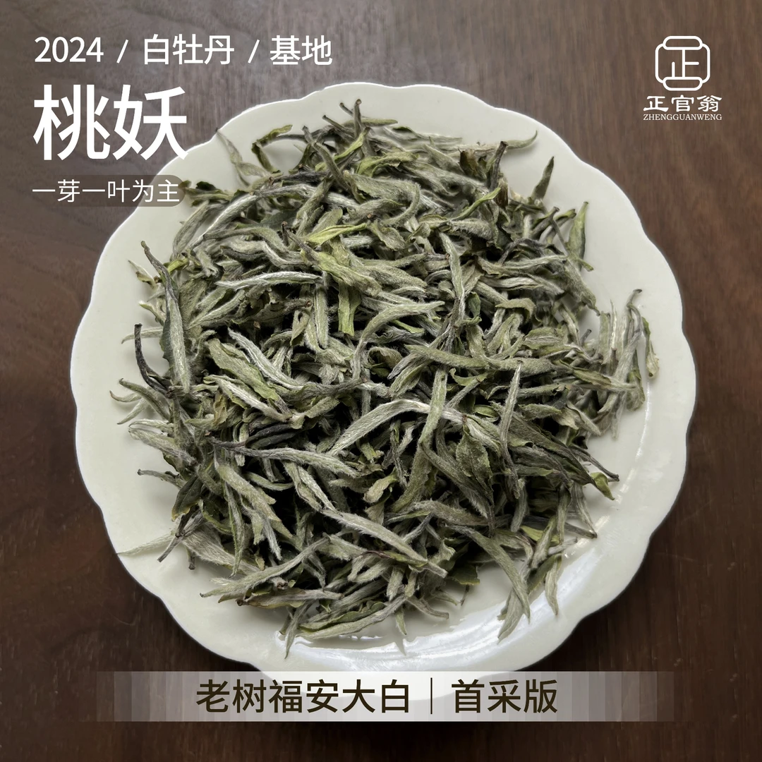 正官翁2024-桃妖-白牡丹150g 老树福安大白 首采版