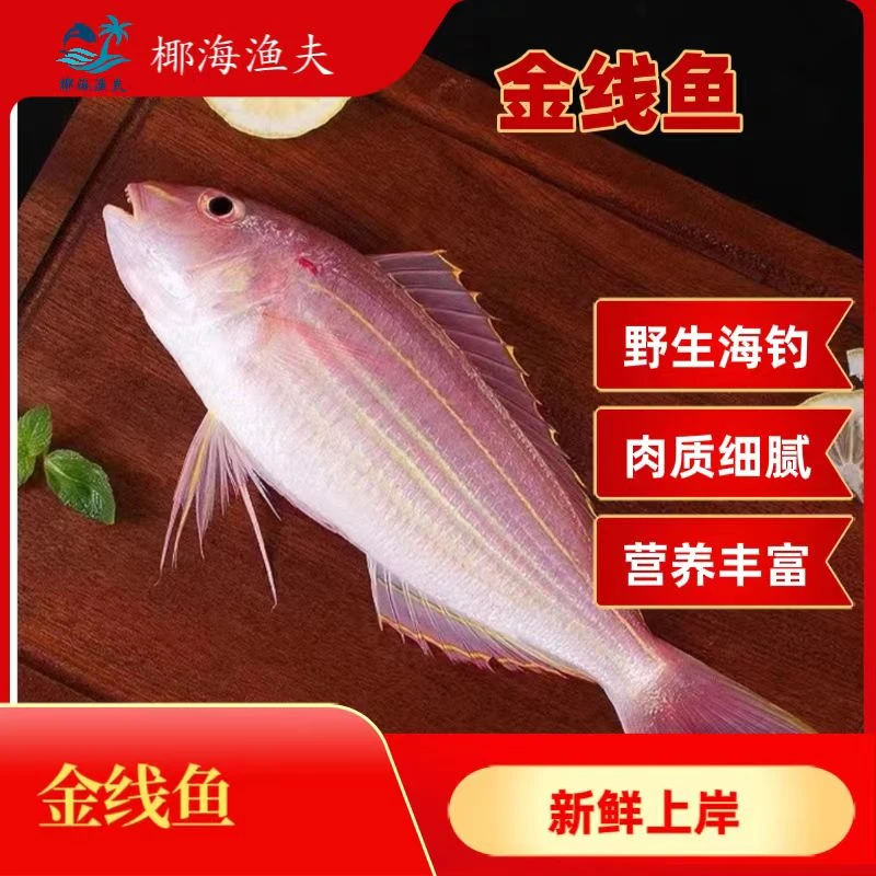 海南本港码头新鲜上岸【金线鱼】野生海钓