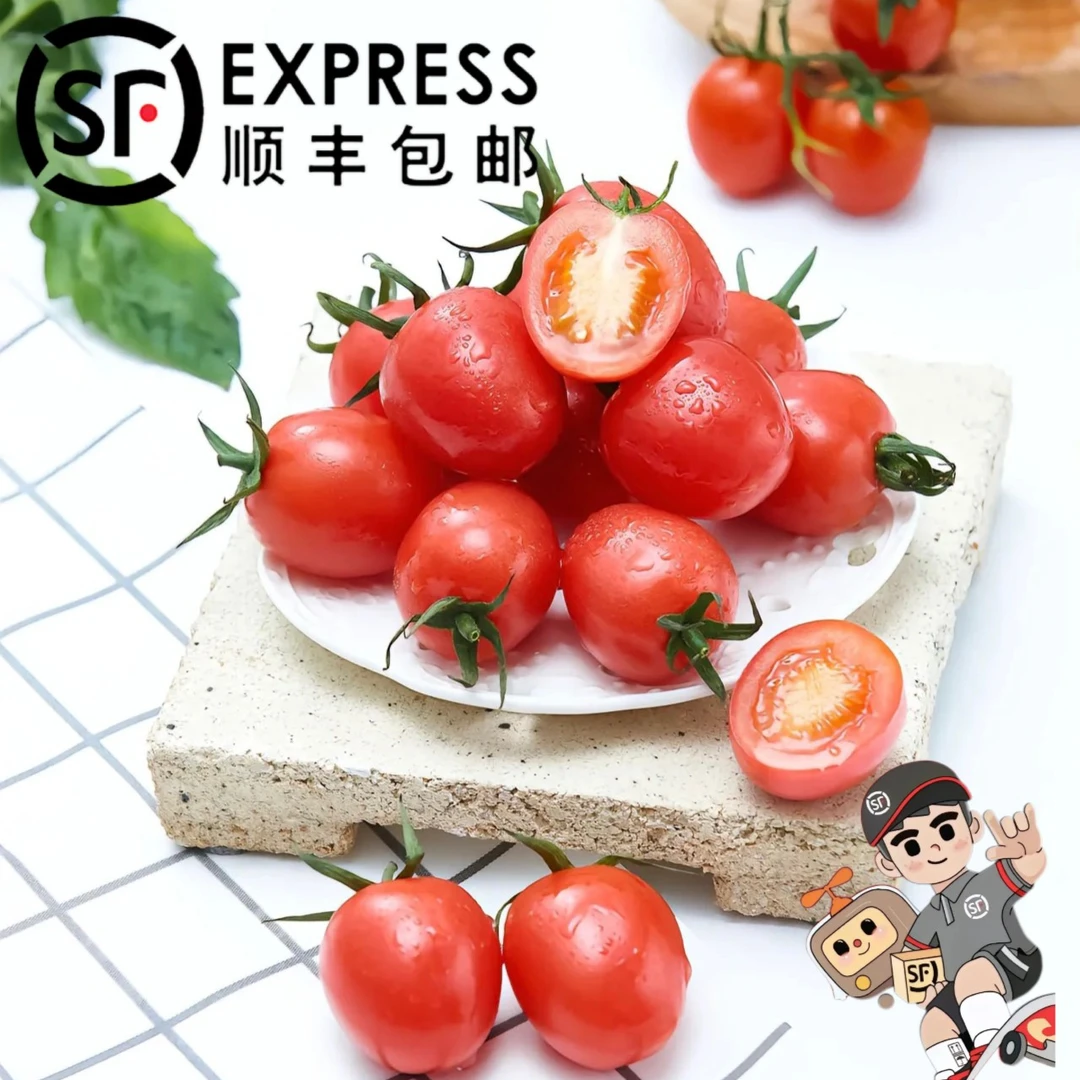 甘肃天水千禧小番茄5斤装