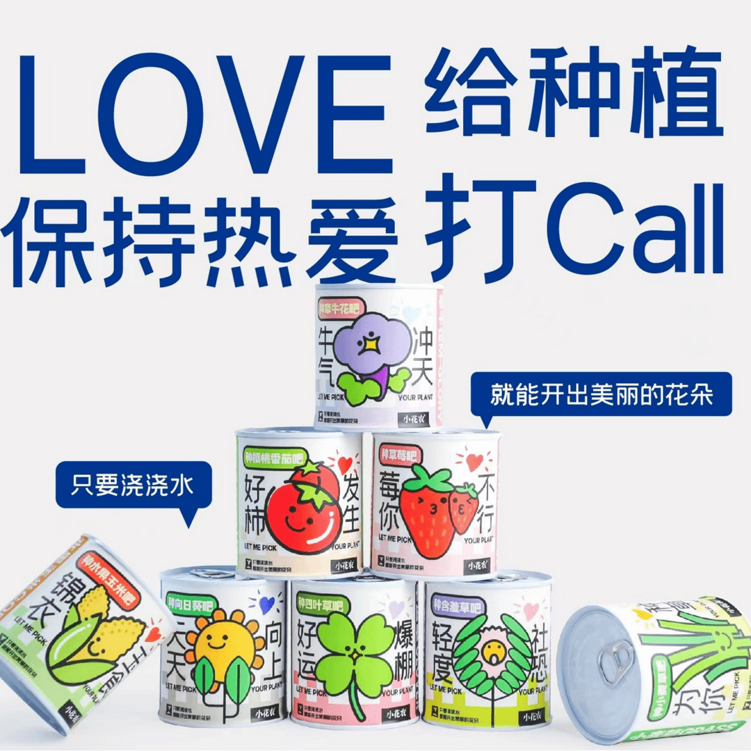 豆乐奇园艺潮玩种植杯儿童办公室手工盆栽迷你创意种植杯小植物