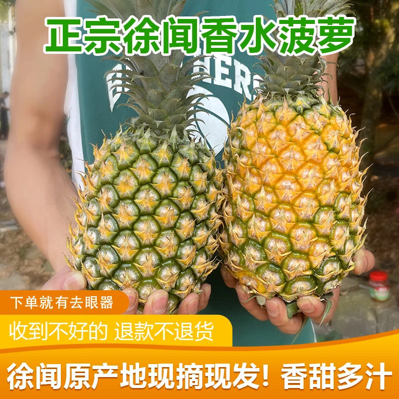 【正宗徐闻菠萝】香水新鲜大菠萝当季香甜水果非凤梨收到即食