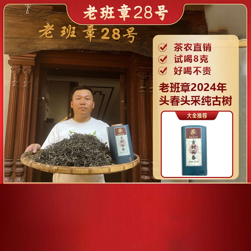 老班章2024年头春头采纯古树100g（山野气韵十足）