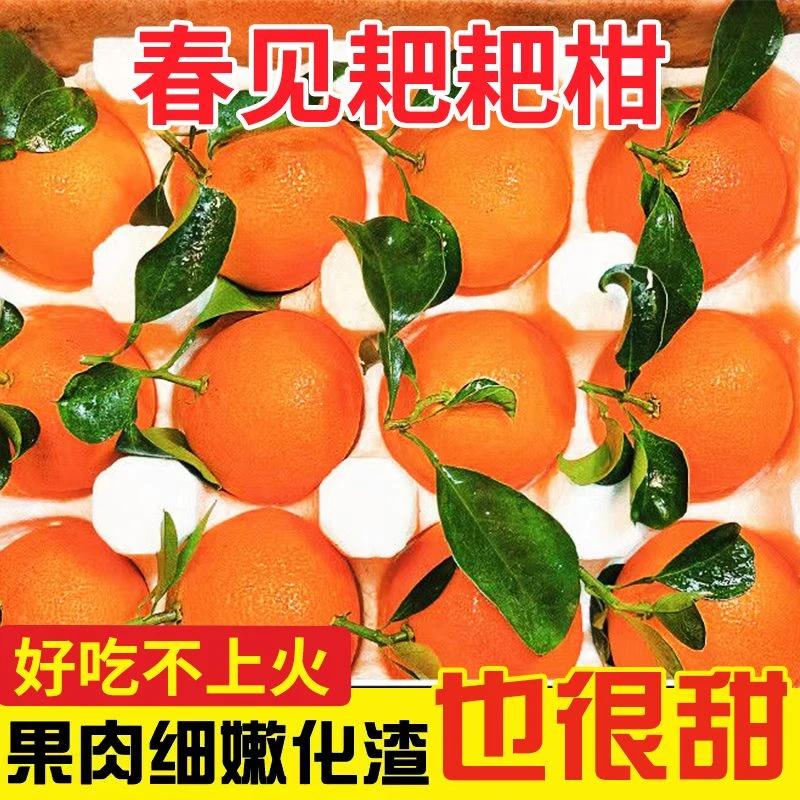 春见耙耙柑【带叶发货才新鲜】粑粑柑四川新鲜水果薄皮丑橘桔子2斤