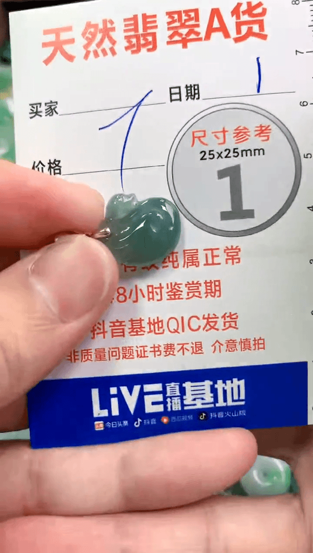 【闪购商品】翡翠颈饰未镶嵌1