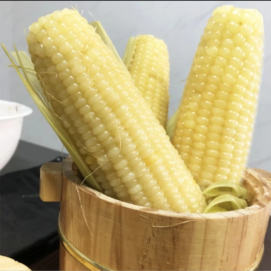 【280-350g/支】东北奶香大白糯玉米软糯鲜香整箱10支（拍8送2）6斤半