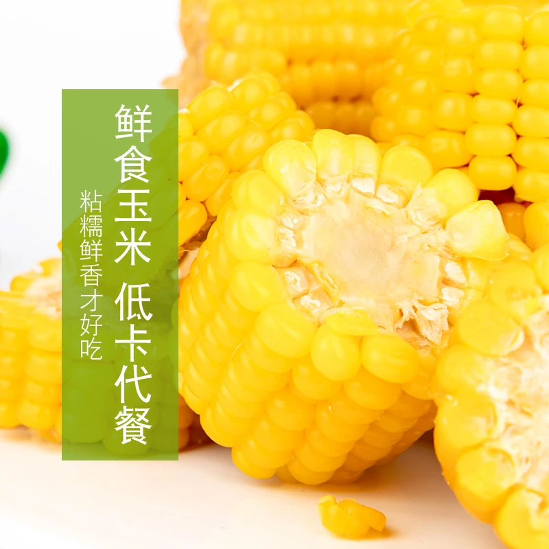 【盆紫宠粉】黄糯糯玉米八支真空包装玉米240g/支
