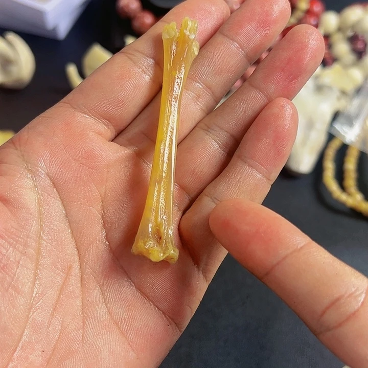 C*.养殖鸡爪骨制作手把件