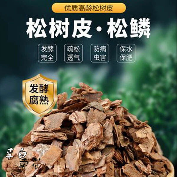 发酵腐熟兰花专用优质松树皮块松鳞铺面君子兰植料月季兰科营养土