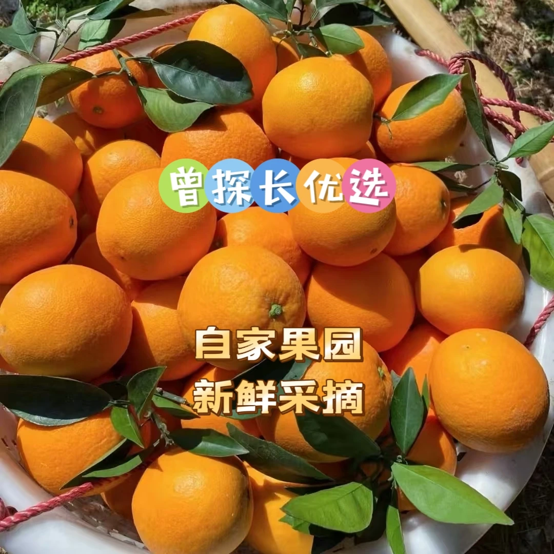 赣南脐橙自家果园新鲜采摘香甜多汁