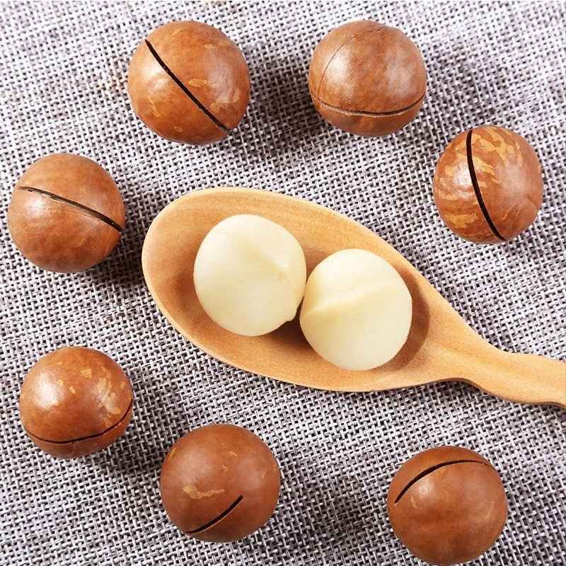 【奶香酥脆】夏威夷果大颗粒坚果休闲零食炒货袋装60g/袋装500g