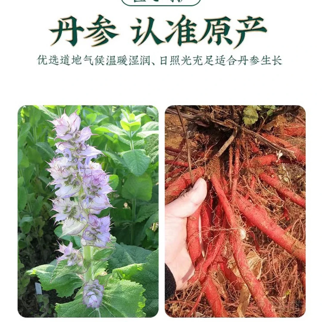 【参海】丹参片 山货  泡水煲汤滋补