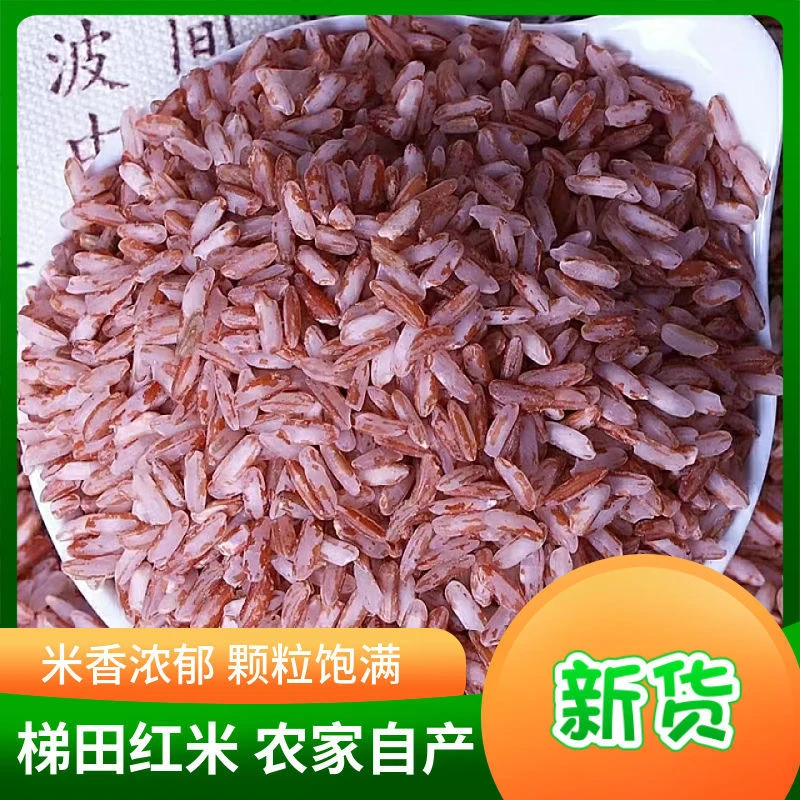 红米新米云南正宗梯田红软米五谷杂粮新鲜红米农家自种梯田红软米