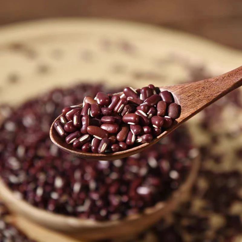 云南正宗赤小豆现收大山农家特产新鲜优质赤豆红小豆 豆沙粗粮