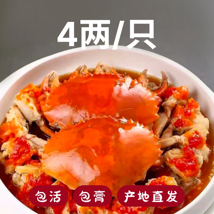 4两/只 红树林青蟹 鲜活红膏蟹 东山岛本港红鲟 包膏包活 原产地