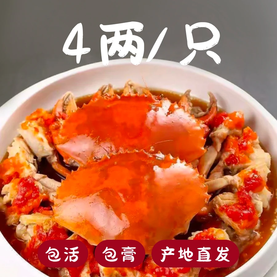 4两/只 鲜活青蟹膏蟹红鲟肥美饱满包活 东山岛原产地直发本港空运