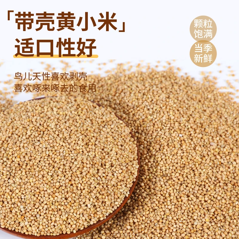鹦鹉粮带壳黄谷子鸟粮鸟食芦丁鸡饲料虎皮牡丹玄风有壳谷小米