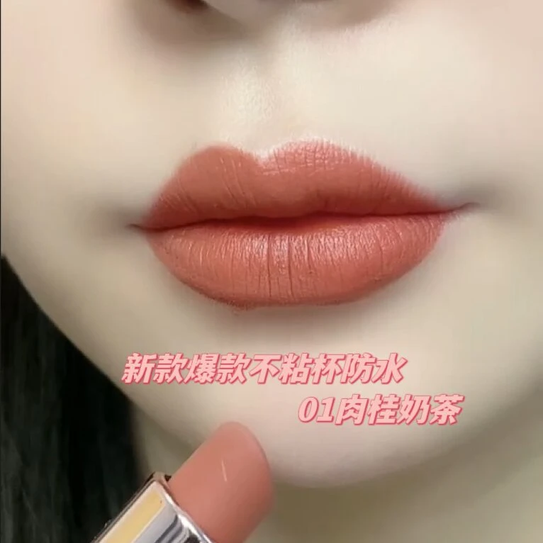 2024【爆款升级】防水口红不沾杯不掉色持久不脱雾面哑光显白显气色