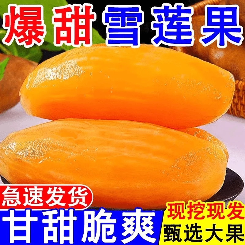 【现挖】头茬云南天山雪莲果3-9斤黄心红心新鲜应季水果脆甜多汁