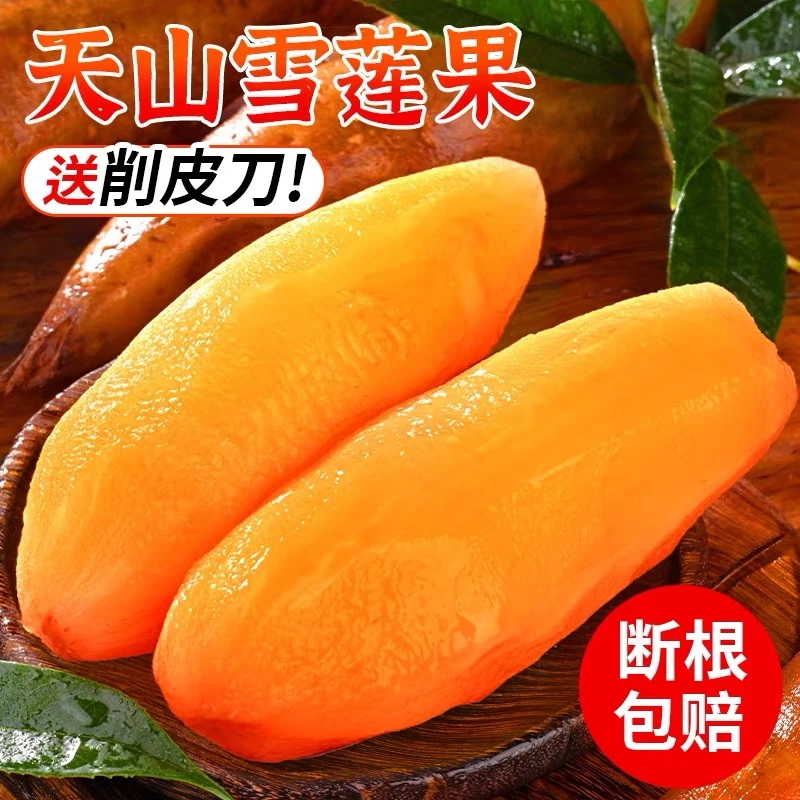 【现挖】2025云南爆甜天山雪莲果新鲜黄心新鲜脆爽雪莲果3斤5斤9斤
