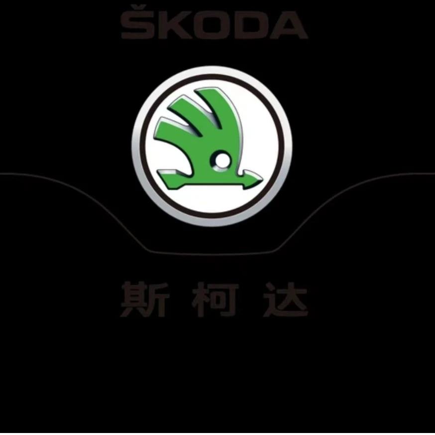 【21】斯柯达专车专色定制漆 修复划痕