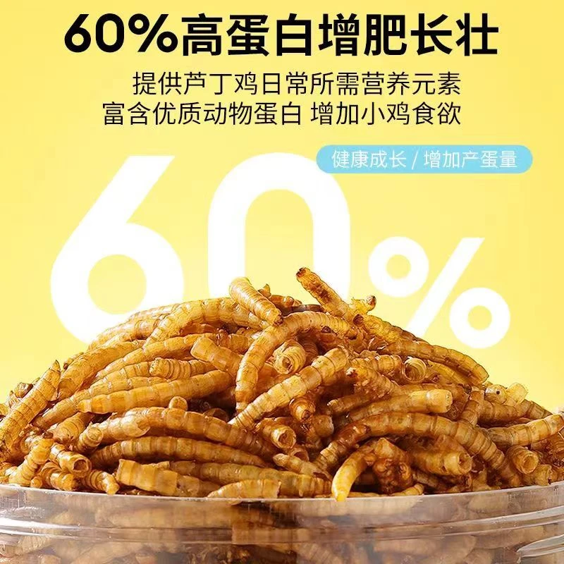 高蛋白现烤面包虫干爬宠乌龟芦丁鸡仓鼠鸟类零食香气扑鼻营养香酥