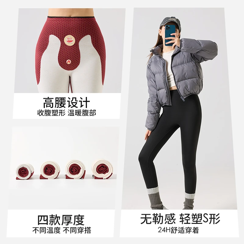【大美】 安哥拉红葫芦裤加绒鲨鱼裤保暖打底裤外穿塑型瑜伽裤女士