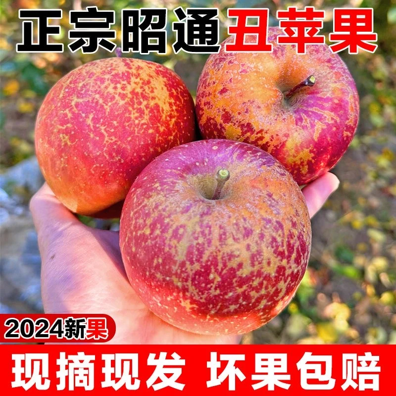 2024年（整箱果锈装）云南昭通糖心丑苹果现摘现发