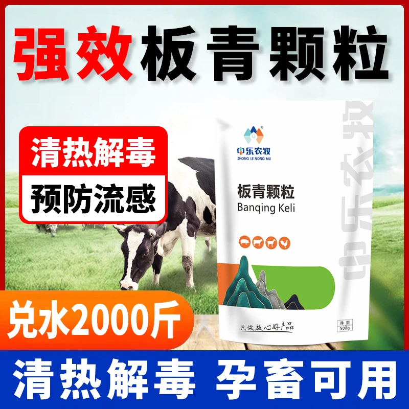 板青颗粒猪牛羊用板蓝根抗病毒流感清热解毒感冒咳嗽鸡鸭鹅用强效
