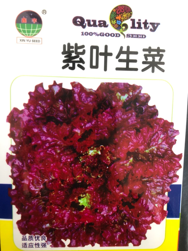 紫叶生菜生菜种子（拍一发二）
