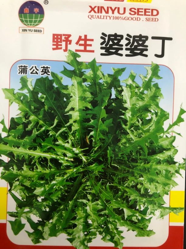 婆婆丁菜籽野生的
