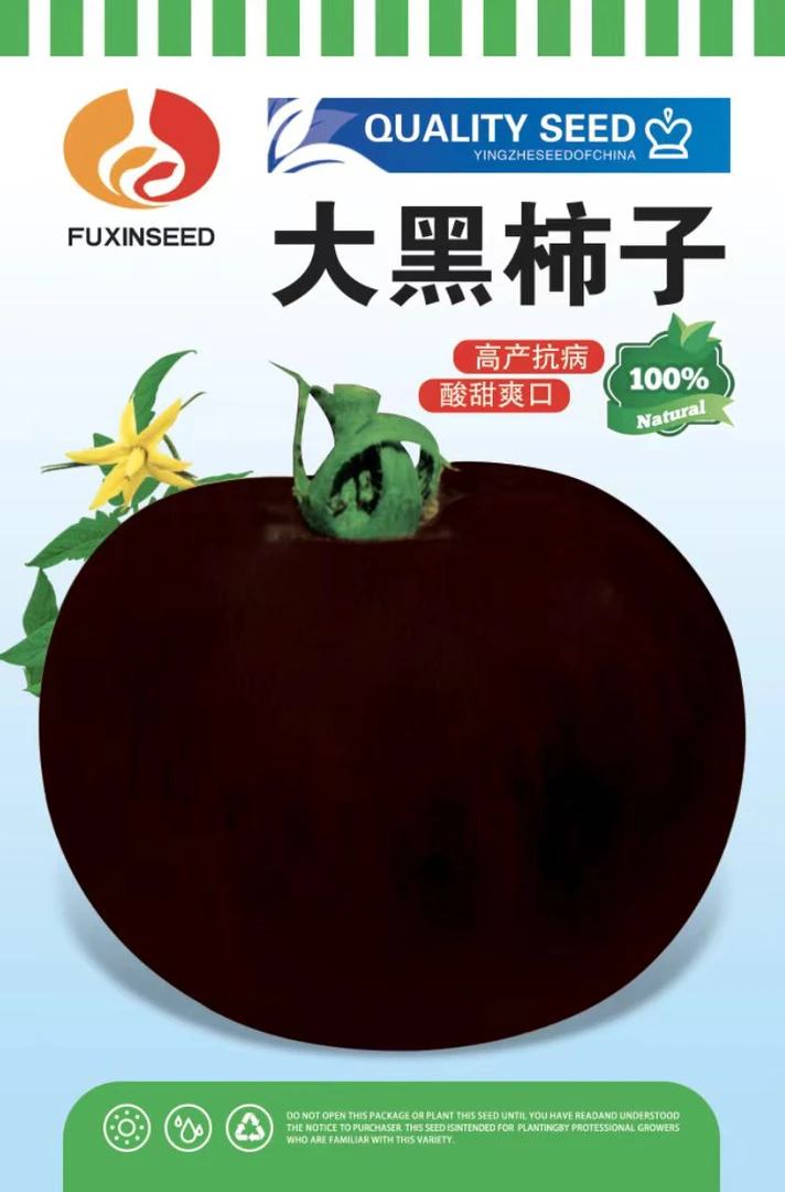 大黑柿子柿子种子