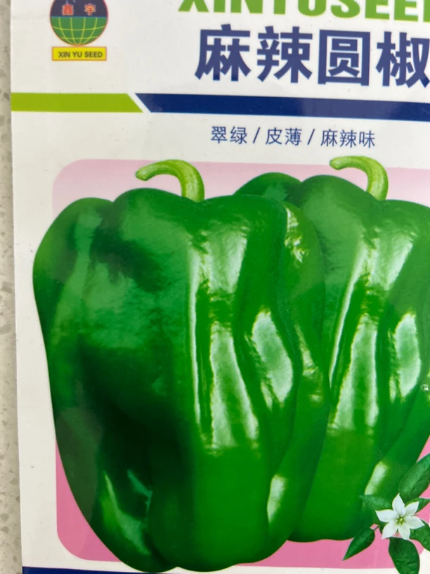 麻辣圆椒辣椒种子