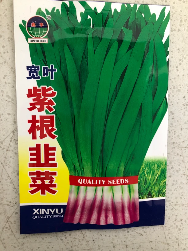 宽叶紫根韭菜种子