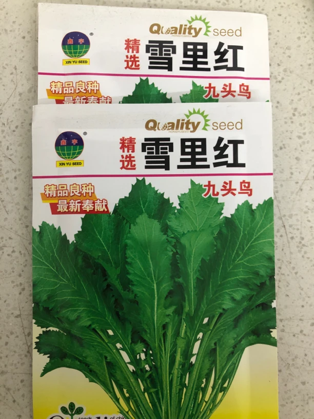 精选雪里红（拍一发二）